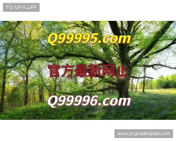 AG真人平台的用户评价与口碑分析，选择最值得信赖的真人游戏平台
