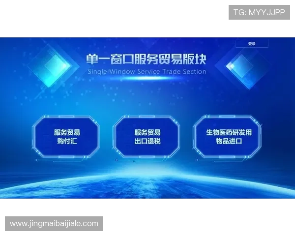 AG视讯厅VIP用户专属客服服务全解析确保您的每一次游戏体验顺畅无忧